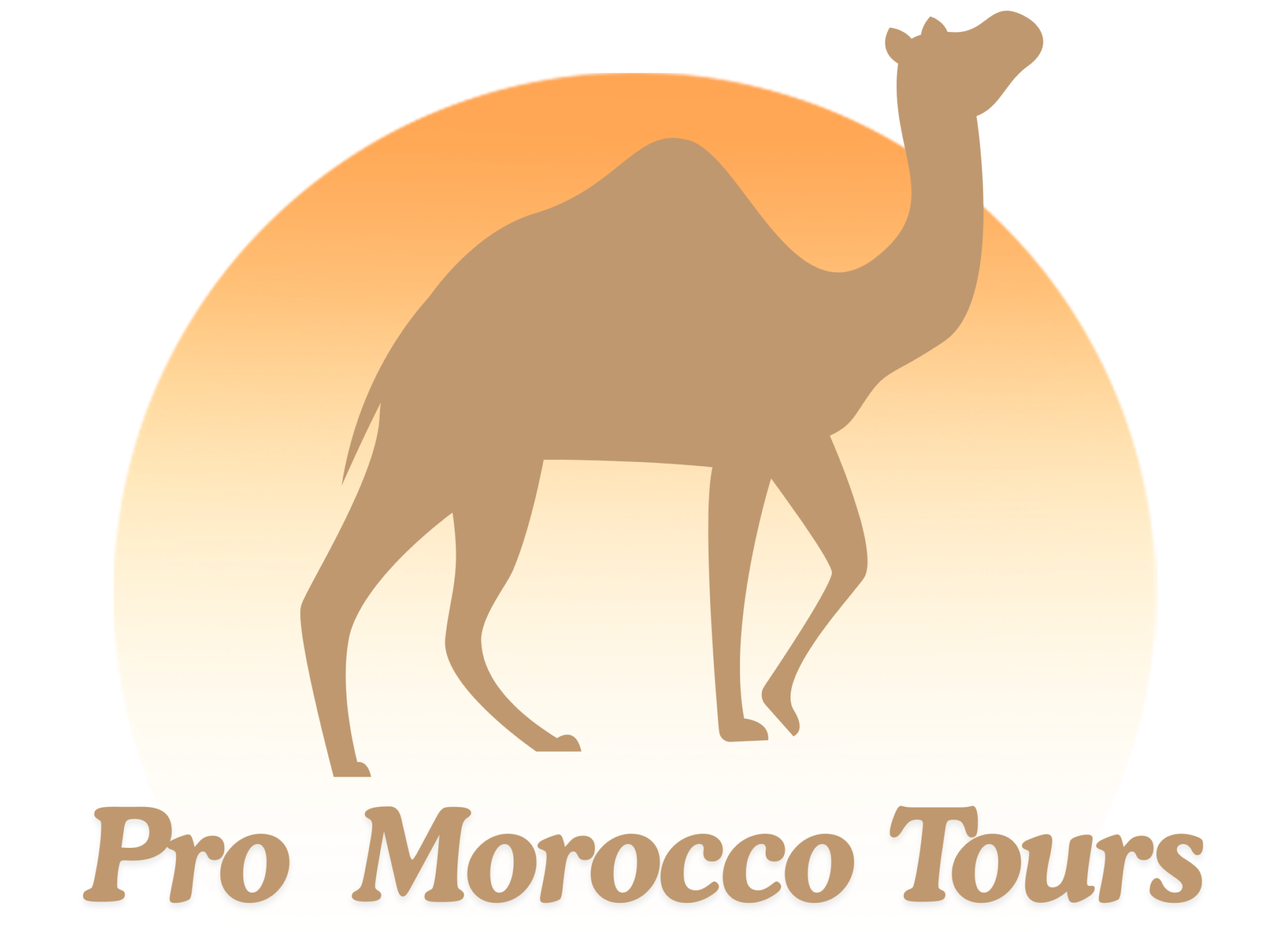 dailydeserttours.com