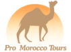 pro Morocco Tours