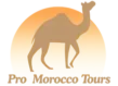 PRO MOROCCO TOURS