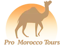 Pro Morocco Tours camel artwork